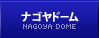 ナゴヤドーム