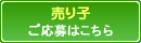 立ち売りスタッフ応募はこちら