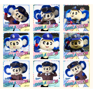 フォトチップス