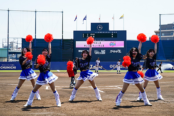 チアドラゴンズパフォーマンス