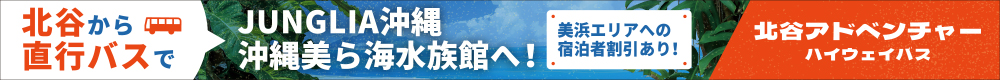 アドベンチャーハイウェイバスPR