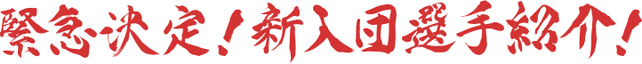 緊急決定!新入団選手紹介!